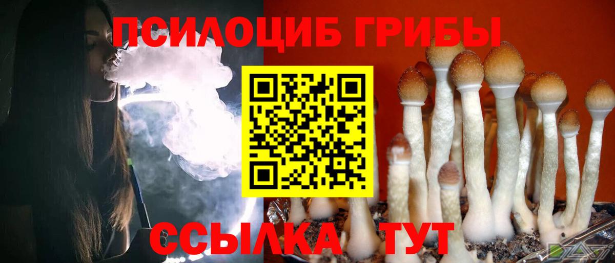 Апрелевка  Псилоцибиновые грибы прущие грибы  Вход с VPN 