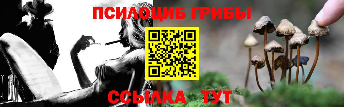 Галлюциногенные грибы Psilocybine cubensis Апрелевка